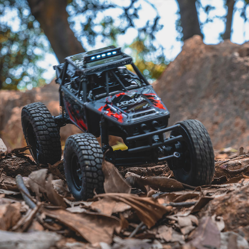 FMS FCX24 Lemur 1:24 Model Cra - Rc Hobby Grade Crawler ulasan dan harga